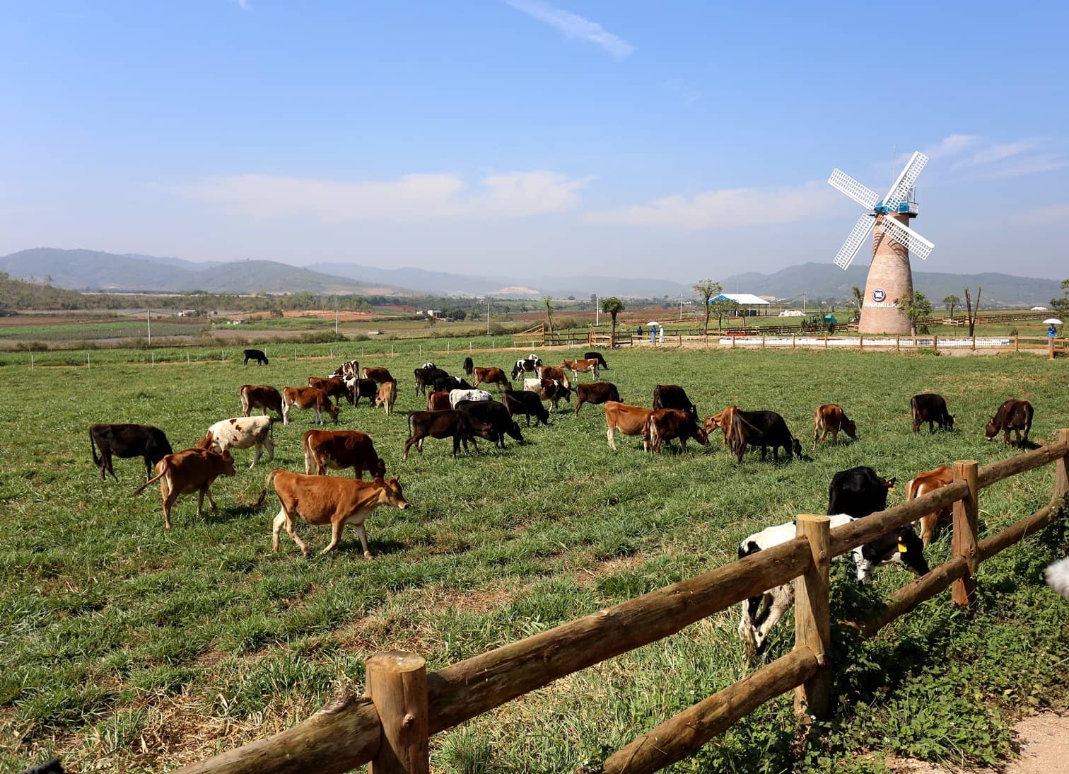 Vinamilk Organic Milk Farm