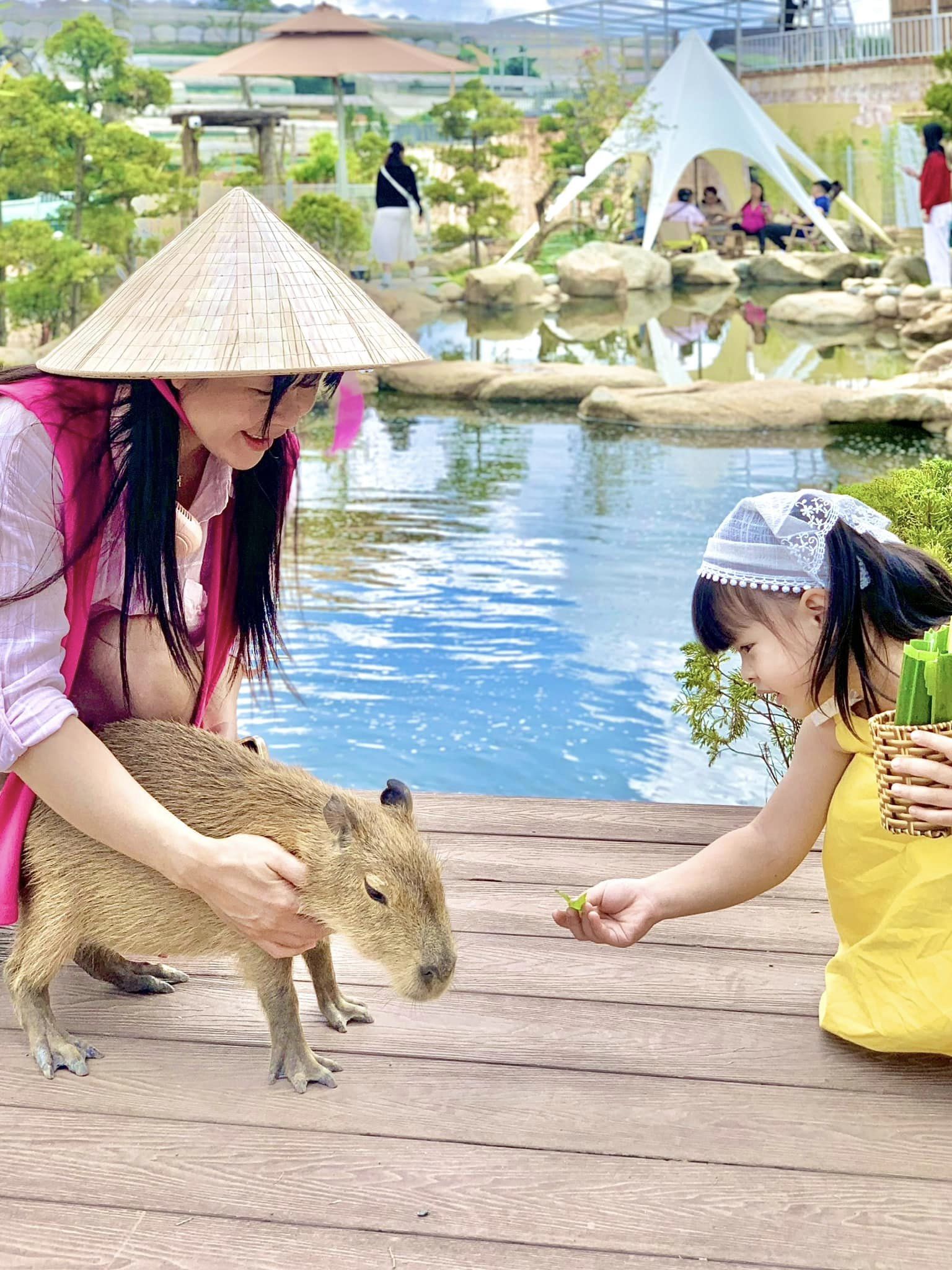 Quán Cà Phê Capybara Đà Lạt