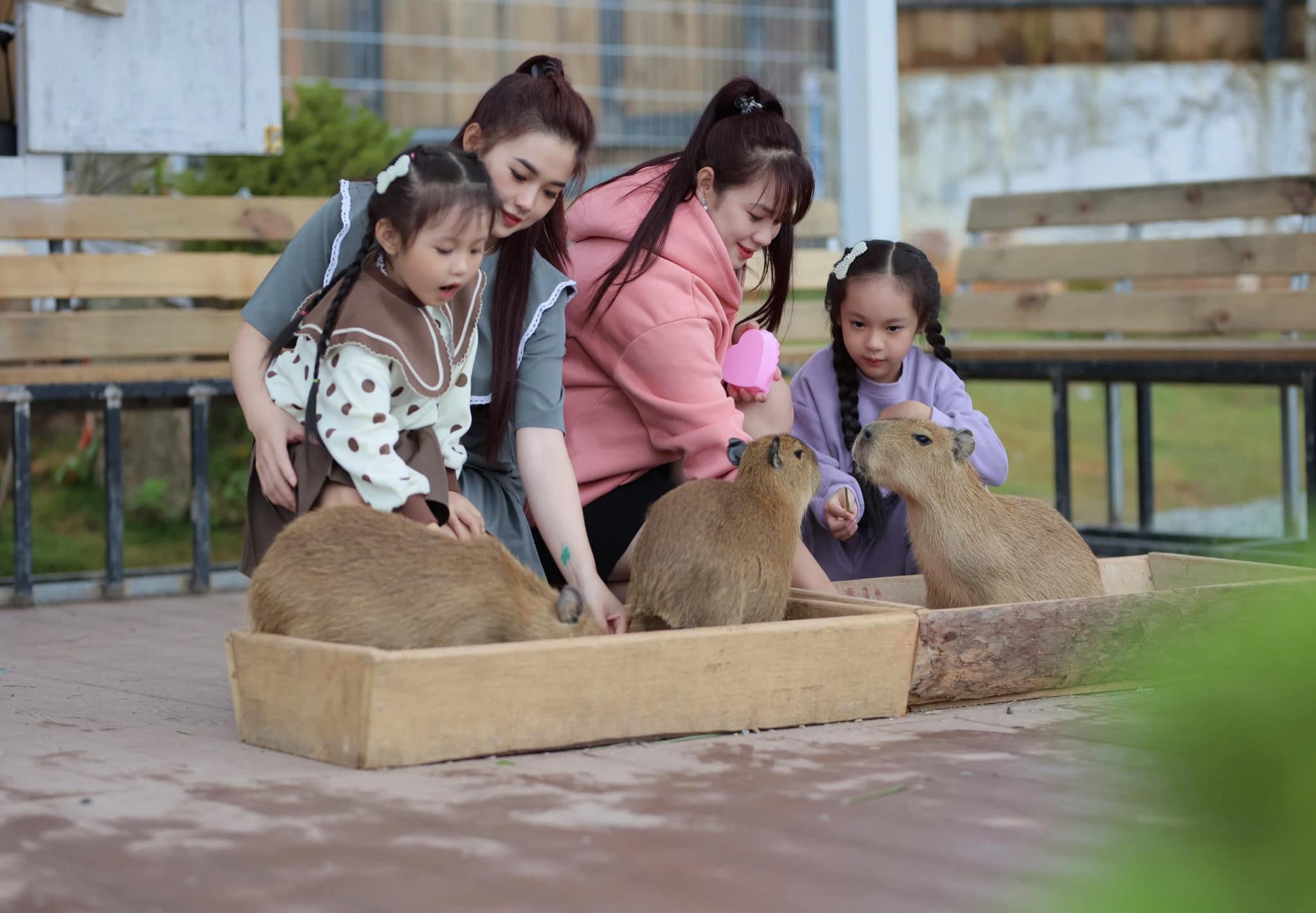 Quán Cà Phê Capybara ở Đà Lạt